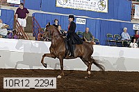 10r12_2294 proof