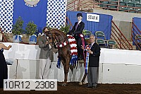 10r12_2308 proof