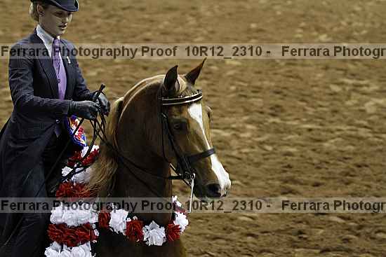 Proof 10r12_2310