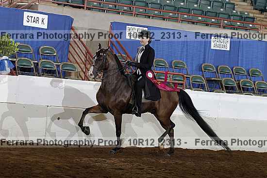 Proof 10r12_2313