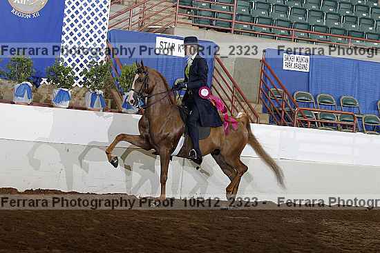 Proof 10r12_2323