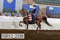 10r12_2338 proof