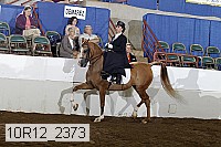 10r12_2373 proof