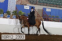 10r12_2393 proof