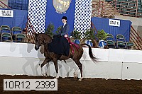10r12_2399 proof