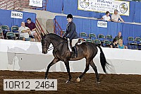 10r12_2464 proof