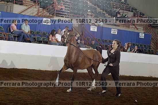 Proof 10r12_2549