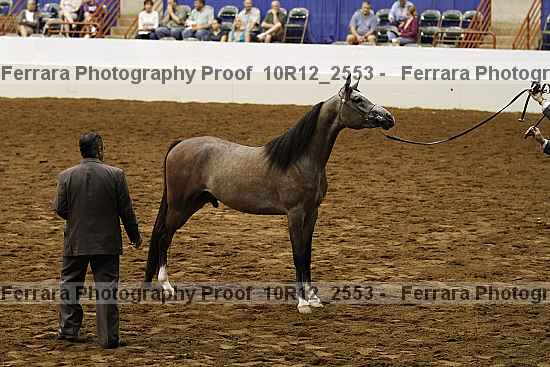 Proof 10r12_2553
