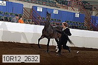 10r12_2632 proof