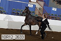10r12_2633 proof