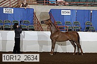 10r12_2634 proof