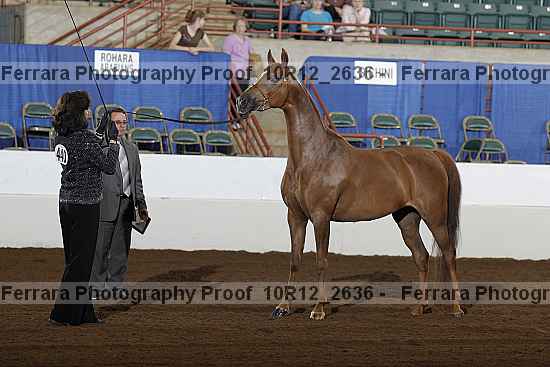 Proof 10r12_2636