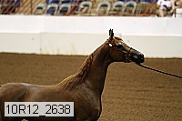 10r12_2638 proof
