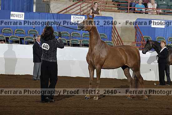 Proof 10r12_2640