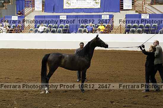 Proof 10r12_2647