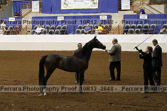 Proof 10r12_2648