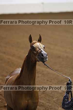 Proof 10r12_2652