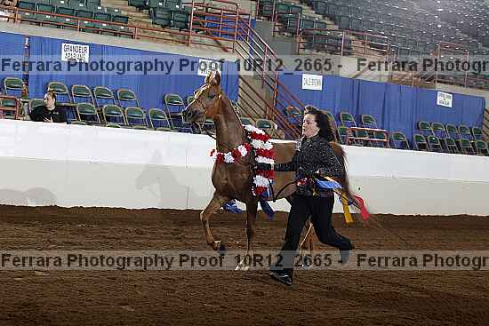 Proof 10r12_2665