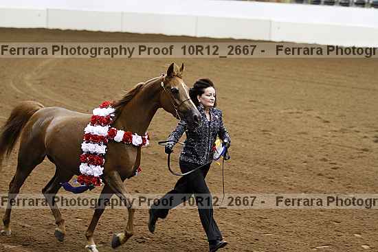 Proof 10r12_2667