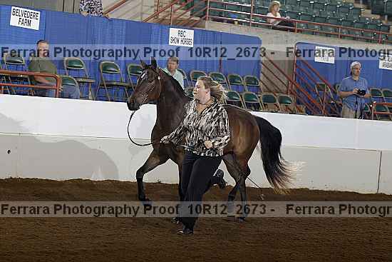 Proof 10r12_2673