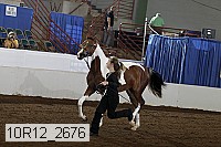 10r12_2676 proof