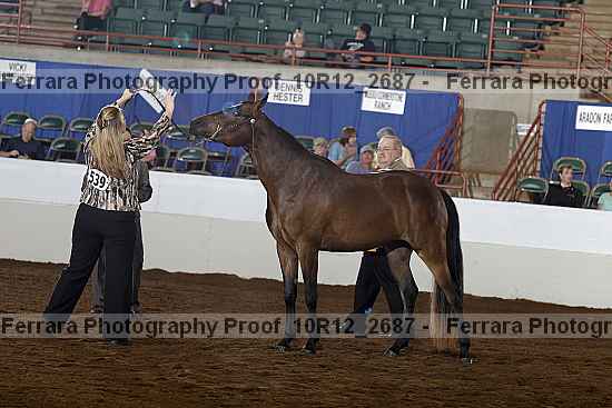 Proof 10r12_2687