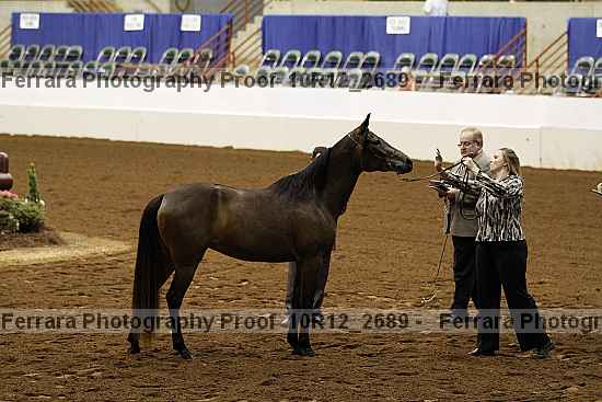 Proof 10r12_2689