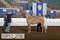10r12_2700 proof