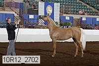 10r12_2702 proof