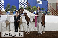 10r12_2716 proof
