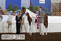 10r12_2719 proof