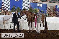 10r12_2723 proof