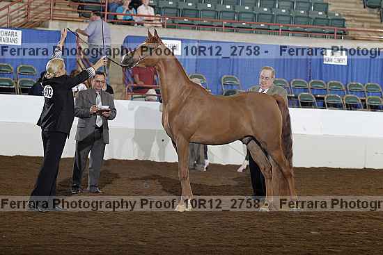 Proof 10r12_2758