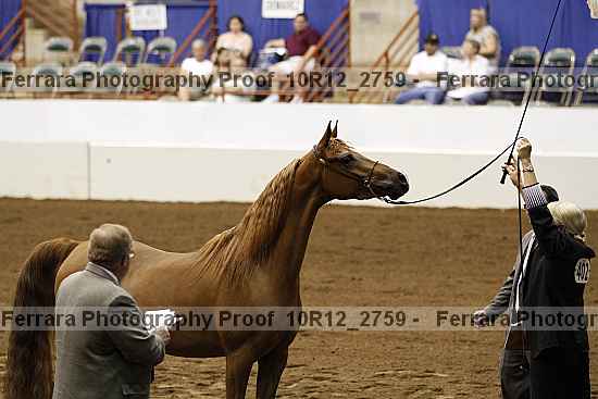 Proof 10r12_2759