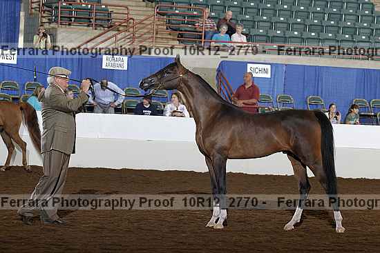 Proof 10r12_2770