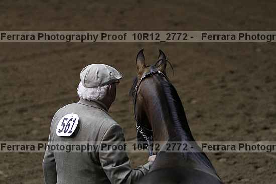 Proof 10r12_2772