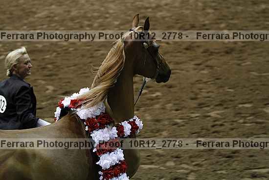 Proof 10r12_2778