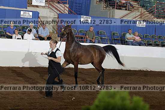 Proof 10r12_2783