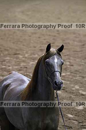 Proof 10r12_2785