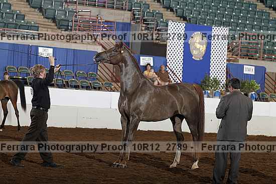 Proof 10r12_2789