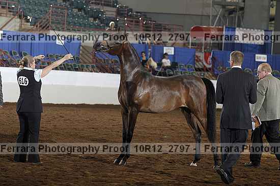 Proof 10r12_2797