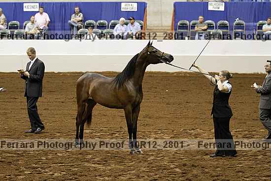 Proof 10r12_2801