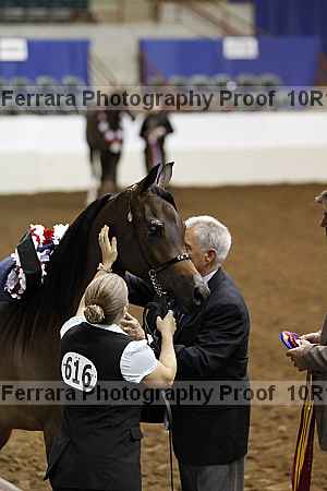 Proof 10r12_2808