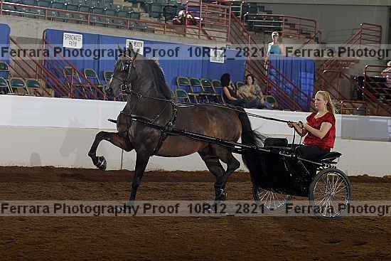 Proof 10r12_2821