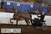 10r12_2823 proof