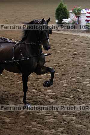 Proof 10r12_2826