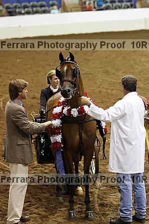 Proof 10r12_2836