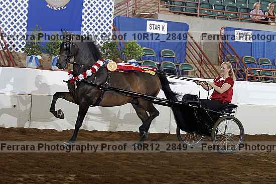 Proof 10r12_2849