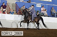 10r12_2869 proof