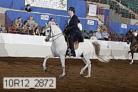 10r12_2872 proof